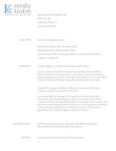 Home resume bube