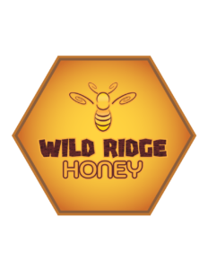 Home homeylogo bube