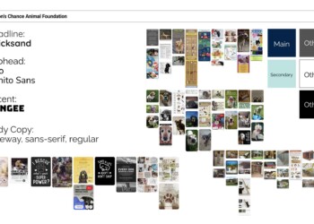 Project1 moodboard emily non profit